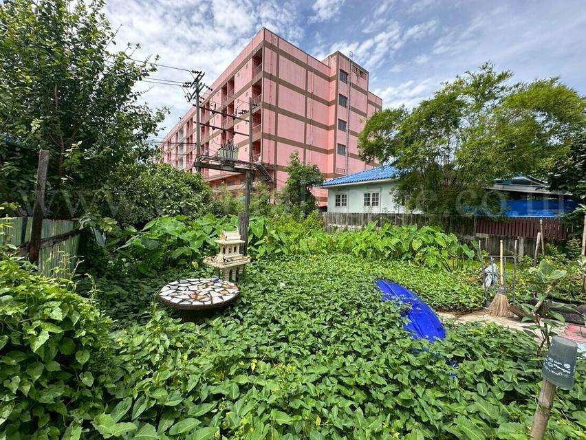 ที่ดินเปล่า 59 ตร.วา ซอยพิบูลสงคราม 22 - ซอยวัดกำแพง ราคาถูก 6