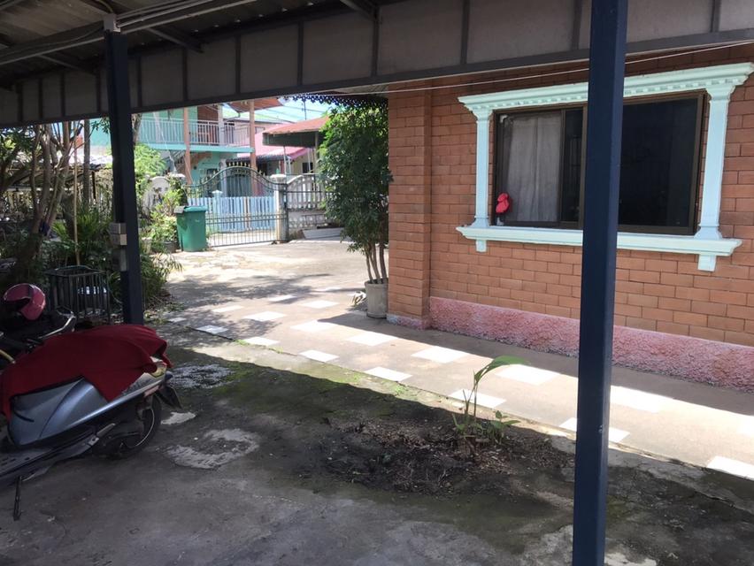 ขายบ้านใกล้เมือง 8 Km (ต.หนองควาย อ.หางดง จ.เชียงใหม่) พื้นที่ 132 ตรว. ขายราคา4.5 ล้าน 4