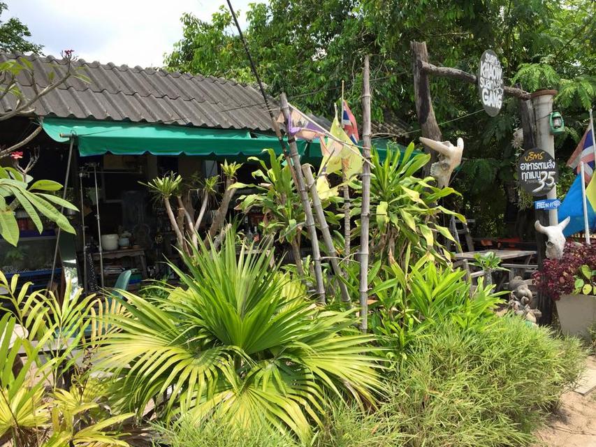 ขายที่ดินพร้อมสิ่งปลูกสร้าง 1