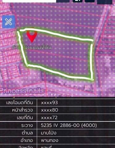 ขายที่ดินอมตะนครเฟส10 พานทองชลบุรี บนเนื้อที่ 14 ไร่ และ 6 ไร่ ผังม่วงลาย 3