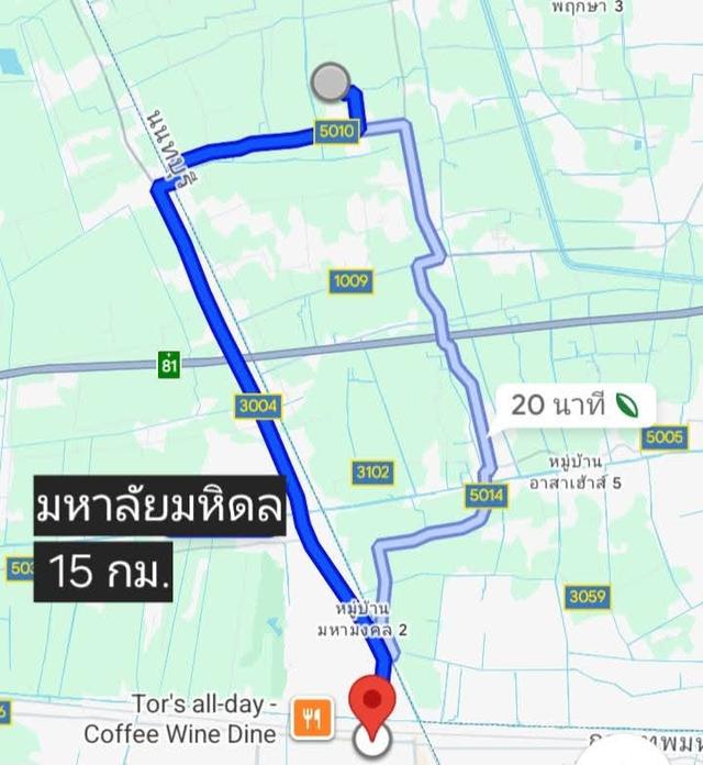 ที่ดินเปล่า 99 ตรว. 6