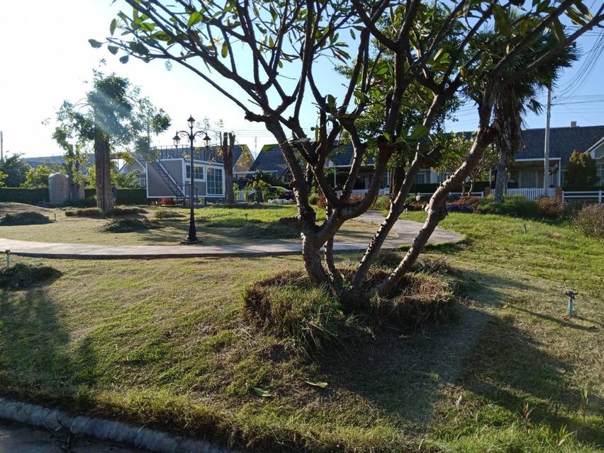 ขายที่ดินใกล้เขาใหญ่ อากาศดี วิวสวย 4