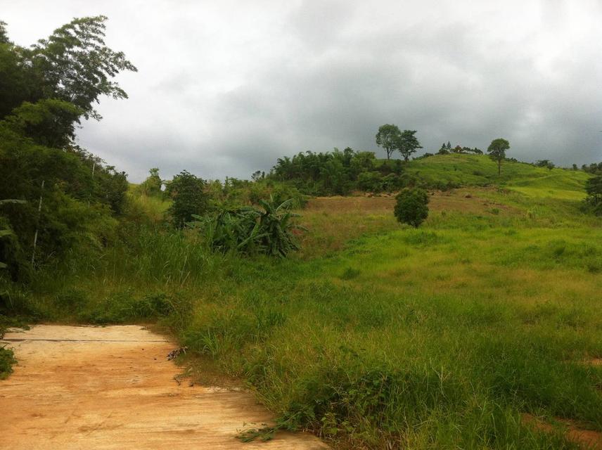 ที่ดินเปล่า อ.เขาค้อ จ. เพชรบูรณ์  3