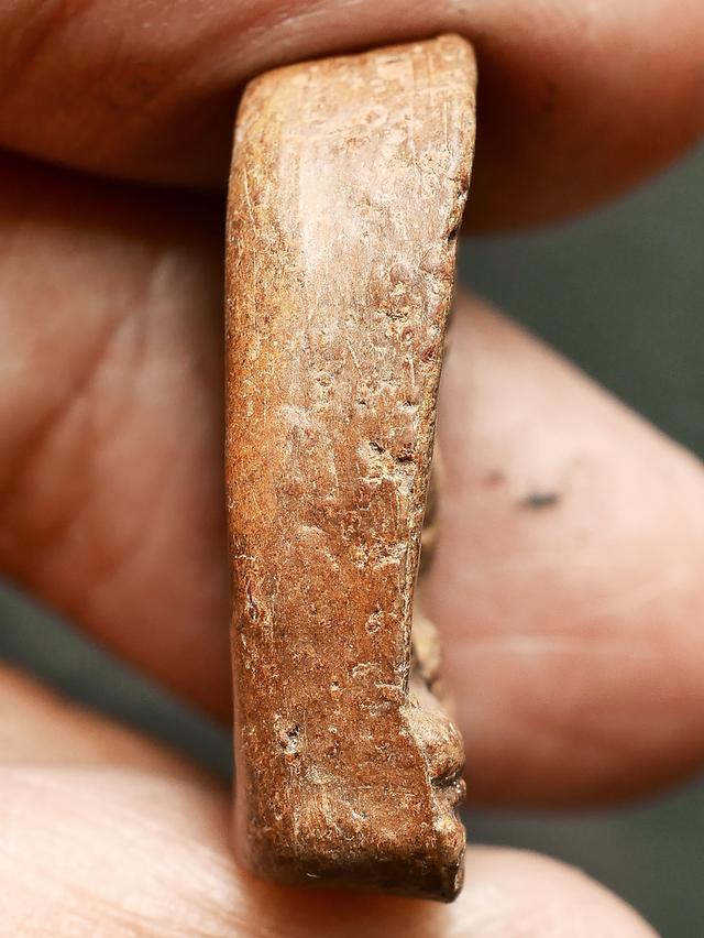 พระซุ้มกอ กำแพงเพชร พิมพ์ใหญ่มีกนก...เก่าๆ 9