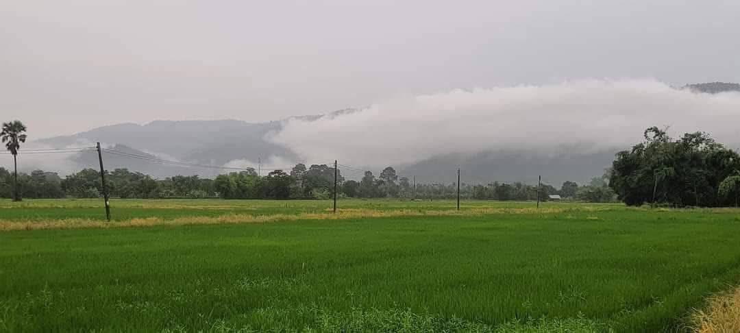 ขายด่วน! แบ่งขายที่ดิน 100-200ตรว. วิวสวยที่สุดในเขาพระ อากาศดีมาก มีเขาล้อมรอบ 360' ทำเลดี มองเห็นน้ำตก