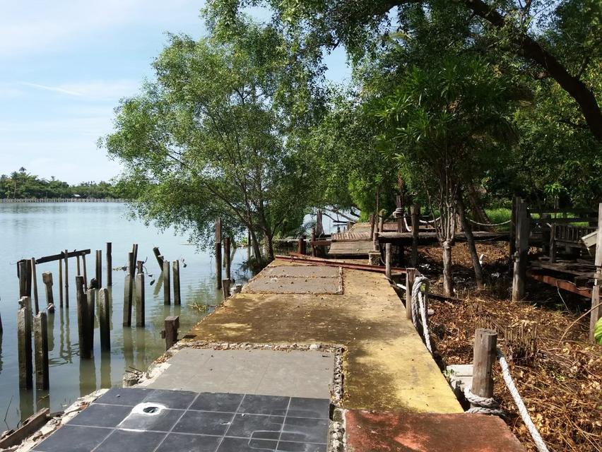ที่ดินสวยติดแม่น้ำแม่กลอง 17