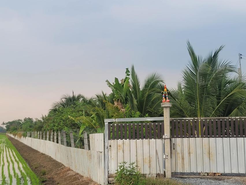 ขายที่ดินพร้อมสวน 3