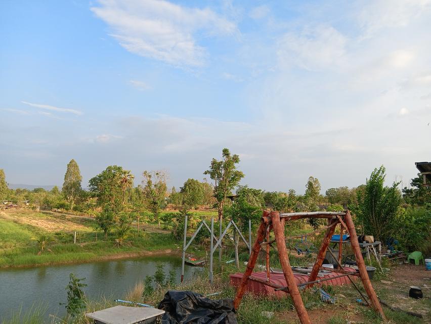 ขายด่วนที่ดินเปล่า21ไร่ ราคา3.9ล้าน ทำเลดีสวยบรรยากาศดีเหมาะทำฟาร์มรีสอร์ท อ.บ้านแท่น จ.ชัยภูมิ สนใจ0844255956 8