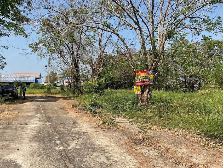 ขายราคาประเมินทีดิน 100 ตารางวา ติดถนนคอนกรีต รังสิต-นครนายก อ.ธัญบุรี จ.ปทุมธานี 4