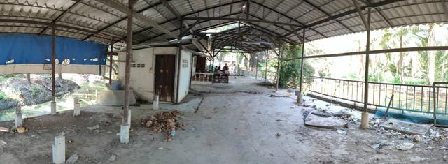 ที่ดินสวนพร้อมบ้าน บ้านเเพ้ว 7