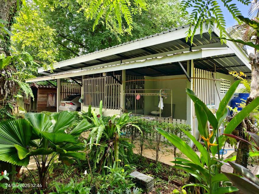 บ้านสวนในฝัน…กลางเมืองสระแก้ว 13