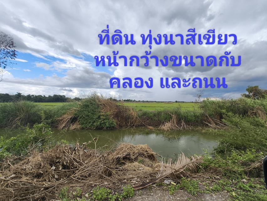 ขายที่ดิน 36 ไร่ ขายยกแปลง 16 ล.บ. อ.บางเบน จ.นครปฐม 2