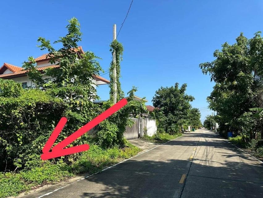 ขายที่ดินเปล่าทำเลดี ปิ่นเกล้า-ศาลายา-บางกรวย 4