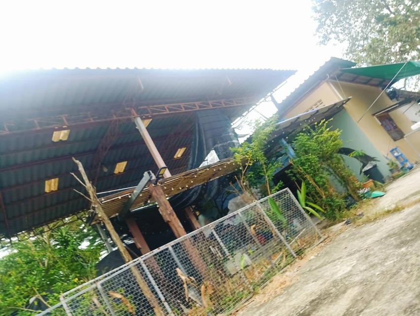 ที่ดินพร้อมอาคาร ห้องแถว โกดังเก็บของ 16