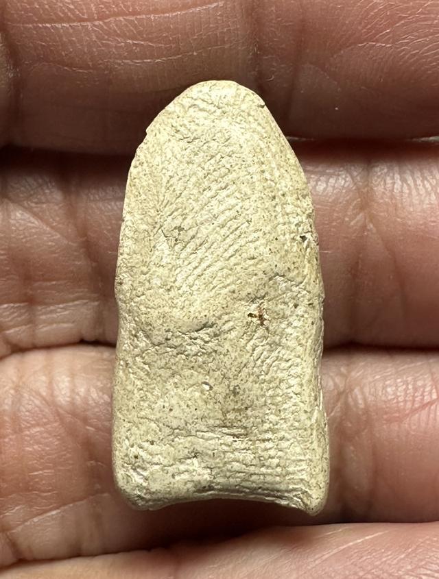 พระรอดลาำพูน องค์ละ1 000 14