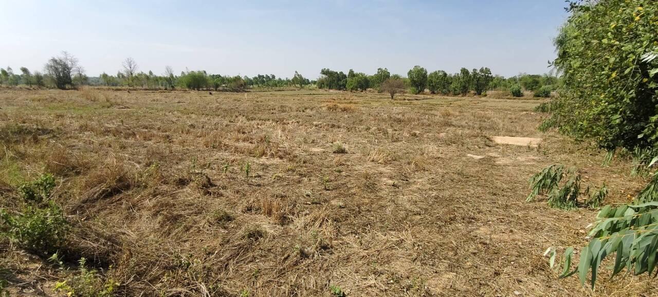 ที่ดิน 40-1-9 ไร่ อำเภอสมเด็จ จังหวัดกาฬสินธุ์ ราคาถูก 19