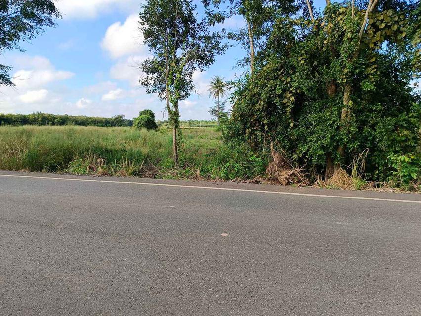 ขายที่ดินย่านรี 5 ไร่ ติดถนนเส้นบ้านตรอกปลาไหล ใกล้ตลาดขุนวิชัย-8กม. อ.กบินทร์บุรี ปราจีนบุรี 5