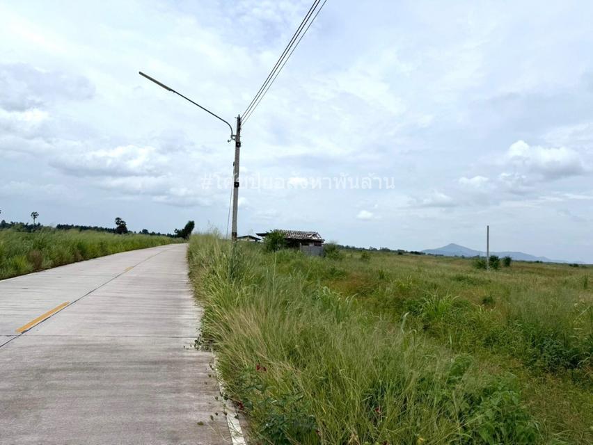 ขาย ที่ดิน ME376 ทำเลดี ราคาถูกสุดในย่านนี้ หนองอิรุณ บ้านบึง ชลบุรี . 50 ไร่ ใกล้เขตอุตสาหกรรมอาหารสยาม นิคมอมตะชลบุรี2