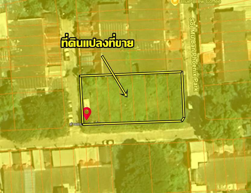 ขายที่ดินเปล่า ในหมู่บ้านฟีนิกซ์ปาร์ค(ซอย11) ซอยไอยรา 28 คลองสอง คลองหลวง ปทุมธานี 6