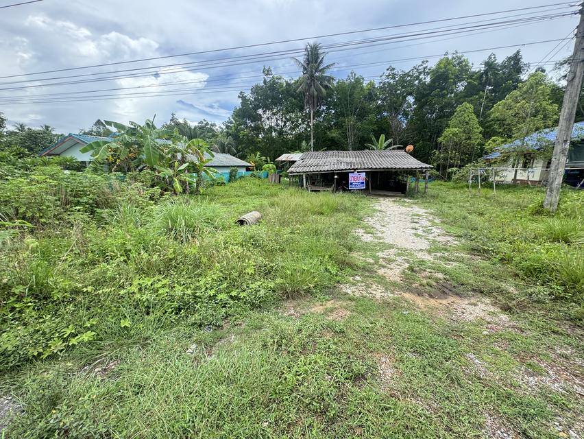 ที่ดินพร้อมบ้าน พื้นที่1ไร่กว่า 4