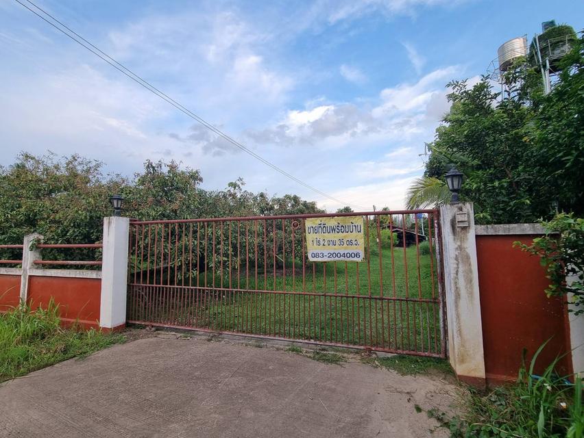 ขายที่ดิน 635 ตรว. พร้อมบ้านสวน และบ่อปลา 1