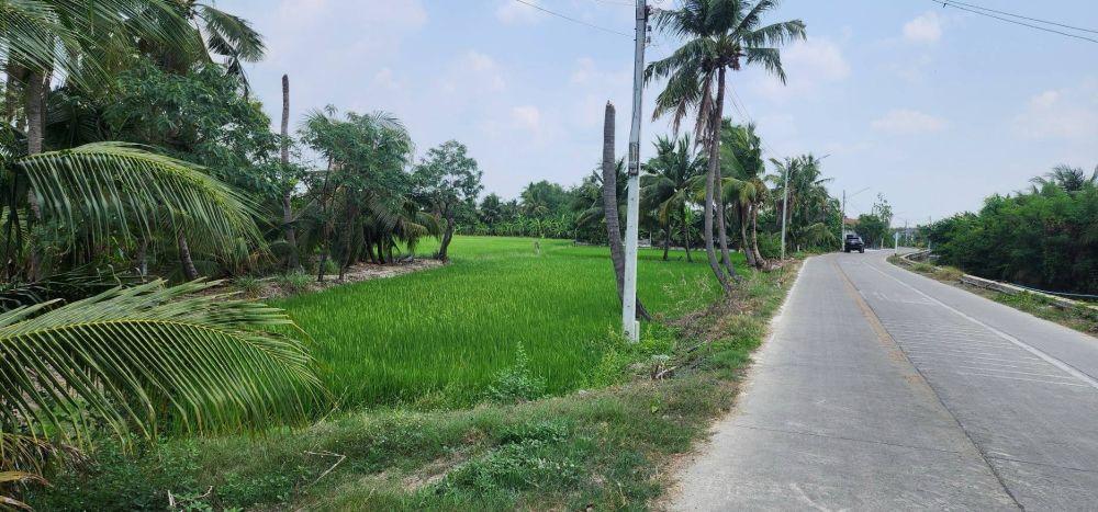 ขายที่ดินทำเลศักยภาพ พุทธมณฑลสาย 5 สามพราน นครปฐม 1-0-47 ไร่ 2