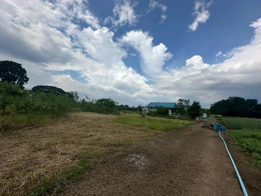 ขายที่ดินหลังสถานีรถไฟความเร็วสูงปากช่อง   บ.เขาเสด็จ / ท่างอย  | ใกล้ริมน้ำ & วิวเขา ( น.ส.3ก ) ราคาพิเศษ!! 4