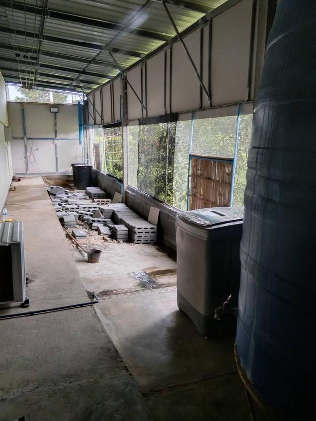 ที่ดินพร้อมสิ่งปลูกสร้าง 11