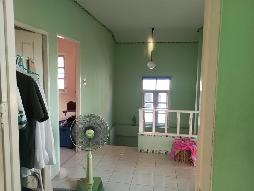 บ้านเดี่ยวหลังใหญ่  คนชอบต้นตอไม้ 10