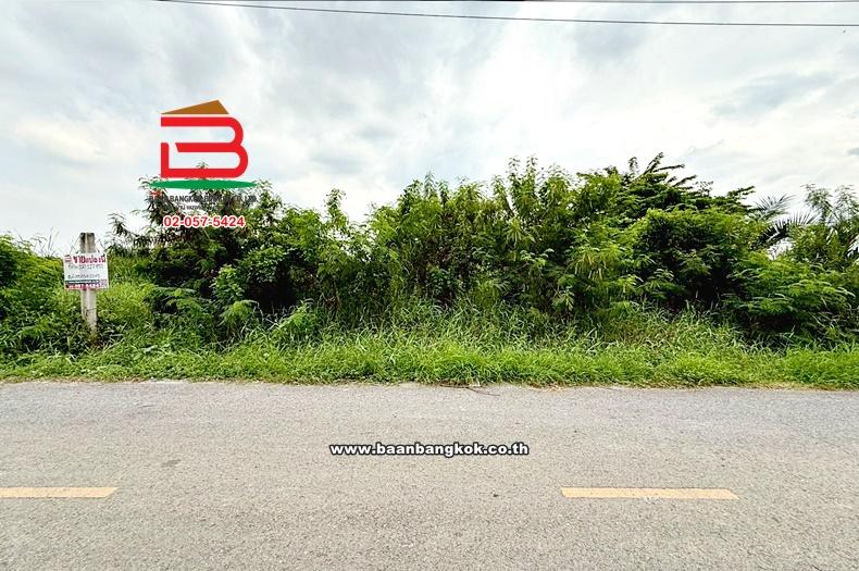 ขาย/เช่า ที่ดินเปล่าถมแล้ว ซอยกำนันสมจิตร เนื้อที่ 127 ตร.ว (ใกล้มอเตอร์เวย์ M81) ตำบลบางแม่นาง อำเภอบางใหญ่ จังหวัดนนทบุรี 1
