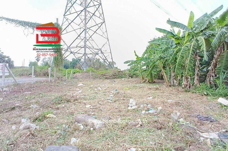 ขาย/เช่า ที่ดินถมแล้ว หมู่บ้านฉัตรหลวง เนื้อที่ 120 ตรว. ถนนกาญจนาภิเษก อ.ไทรน้อย จ.นนทบุรี 6