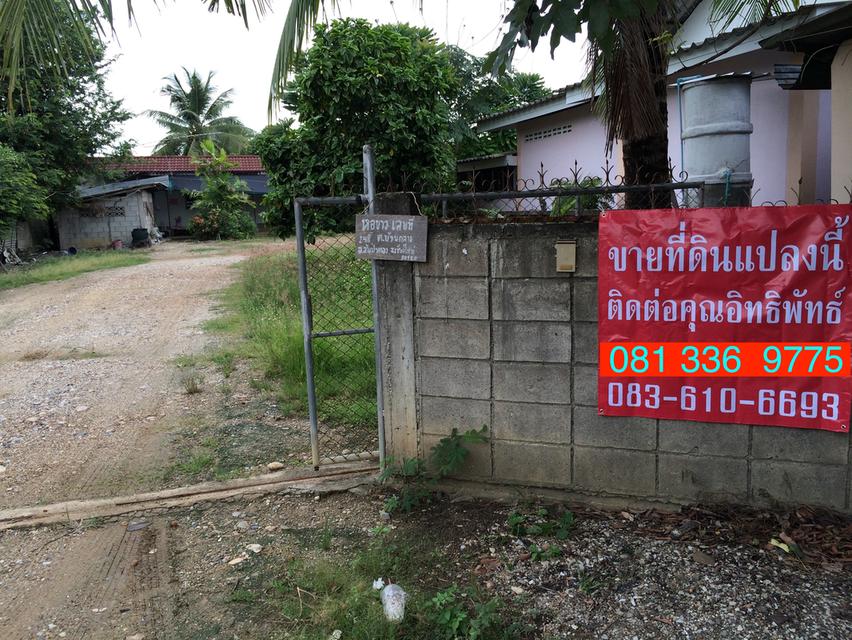 ขายที่ดินพร้อมสิ่งปลูกสร้าง 231 ตารางวา สันป่าตอง เชียงใหม่ 081 336 9775 1