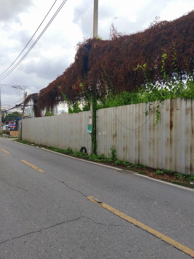 ที่ดินถมแล้วแถวสนามบินน้ำ