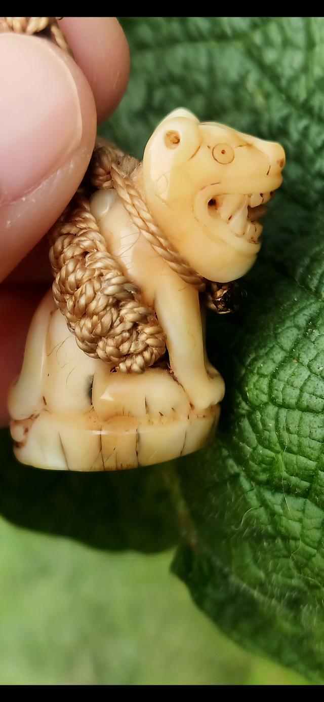 เสือเเกะ หลวงพ่อปานวัดบางเหี้ย