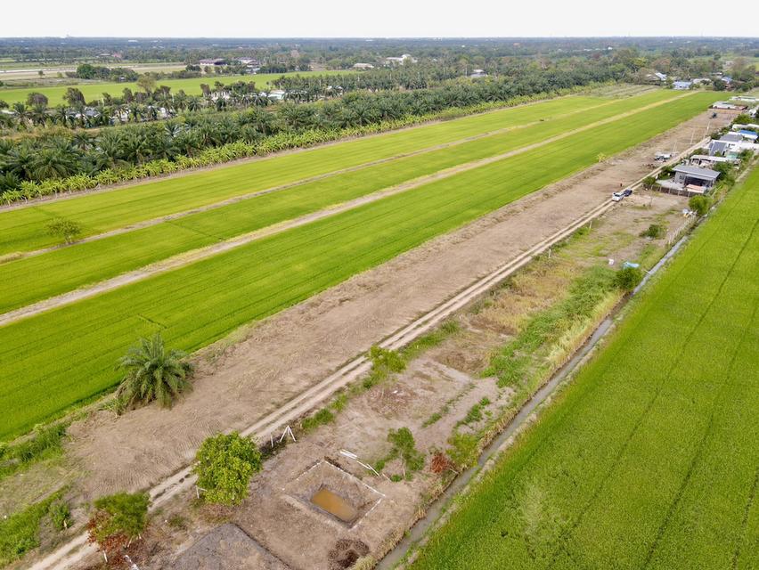 ขายที่ดินคลอง 8 หนองเสือ 200 ตรว. ถมแล้วที่โฉนดนส.4พร้อมโอน จ.ปทุมธานี 8