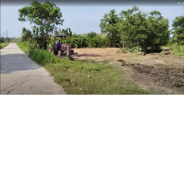 ขายที่ดิน ต.ไทยบุรี อ.ท่าศาลา นครศรีธรรมราช 3