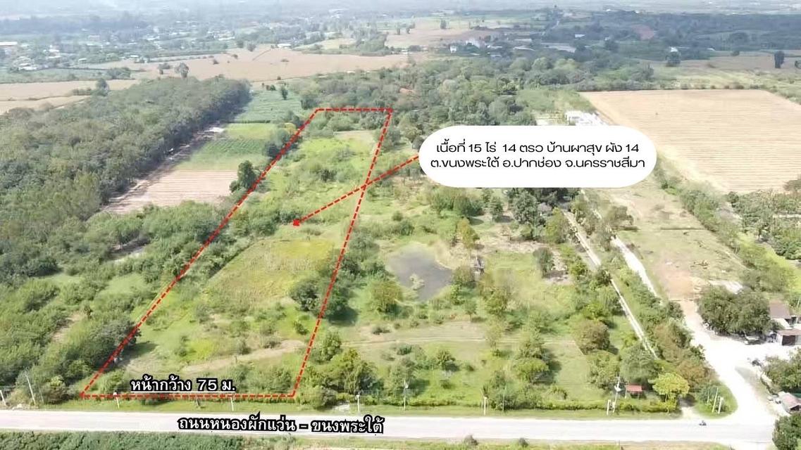 ขายที่ดินปากช่อง ขนงพระใต้ 6