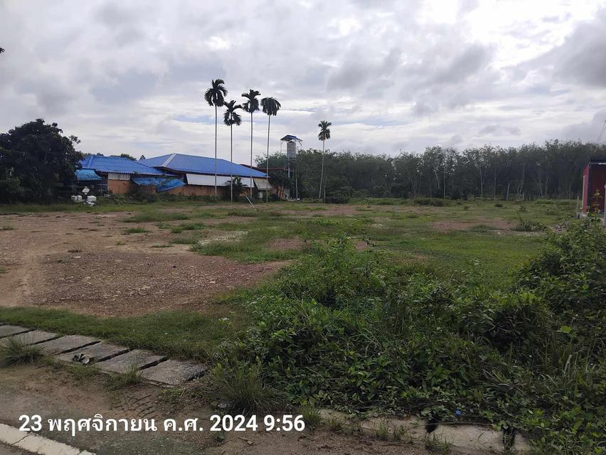 ขายที่ดินติดถนน เขตเทศบาลนาทวี ใกล้โรงพยาบาลนาทวี 200 ม. มี 2 แปลง แปลงที่ 1 มี 4 ไร่กว่าๆ ราคา 5000000 บาท แปลงที่ 2 มี 2 ไร่กว่าๆ ราคา 2400000 บาท  8