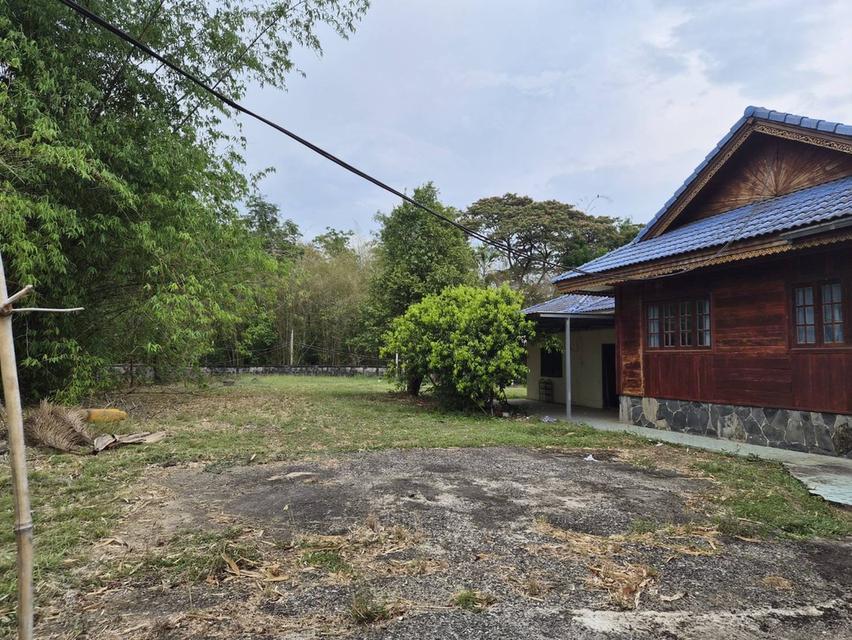 บ้าน บ้านเดี่ยวพร้อมที่ดิน 2