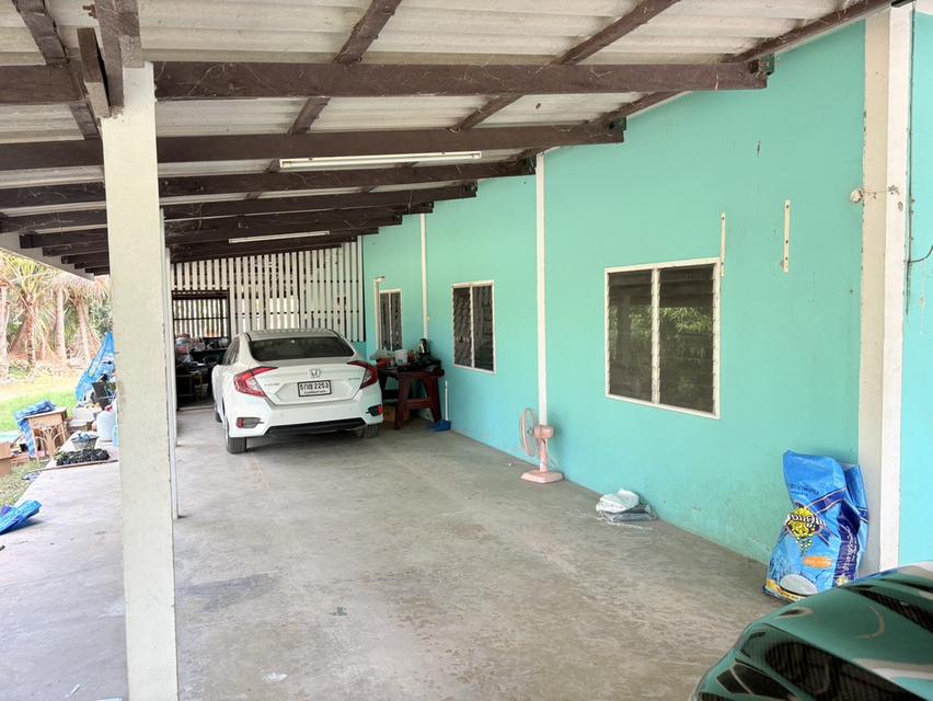 บ้าน สวนผลไม้ และที่ดิน จำนวน10ไร่ 6