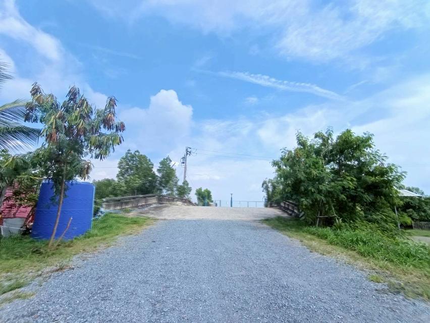 ขายที่ดิน ท่าข้าม บางขุนเทียน เหมาะทำนากุ้ง 383.4 ตร.วา ราคาถูกเพียง 9.9 แสน 3