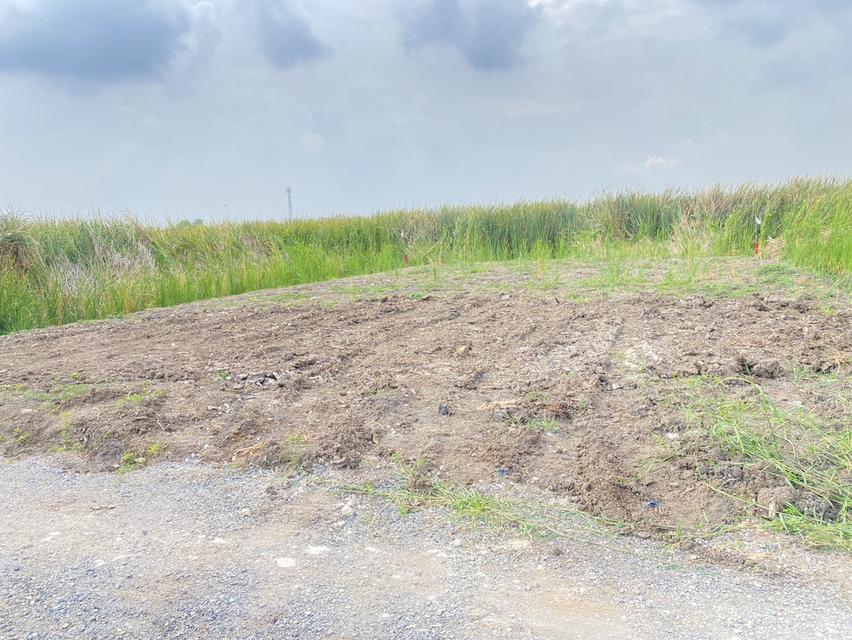 ขายที่ดินเปล่า ติดคลังสินค้า icd ลาดกระบัง 8