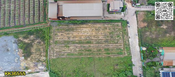 ที่ดินสวย 4 ไร่เศษ สีม่วงขอใบ รง.4 ง่าย+ขายต่อสะดวก เด่นสง่าหน้ากว้าง ถมแล้วพร้อมใช้ ในสวนหลวง ใกล้สาย 4 ตัดใหม่ กระทุ่มแบน- KK3655S 4