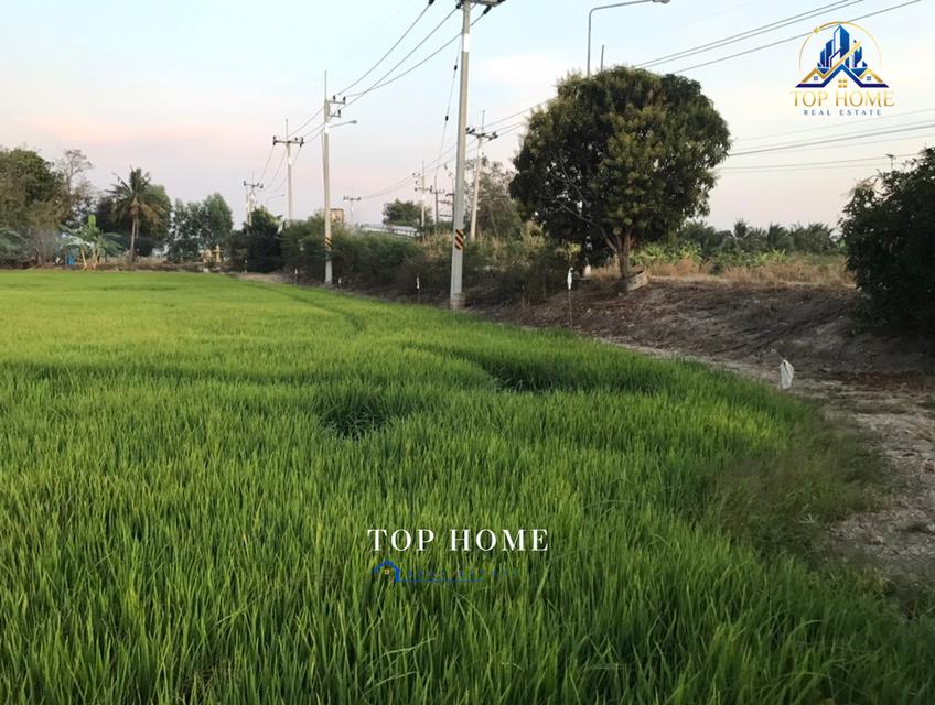 ขายด่วน❗️ที่ดินเปล่า 8 ไร่ 27 ตารางวา** 📍บางน้ำเปรี้ยว จังหวัดฉะเชิงเทรา 10