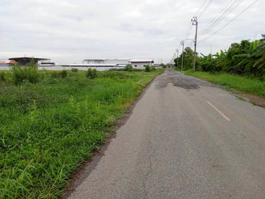 ขายที่ดิน 2 ไร่ ซอยเลียบคลองสิบสามฝั่งตะวันออก 34 ใกล้วัดป่าวิศรุตรัตนาราม