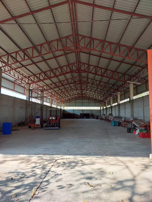 ขาย/ให้เช่าที่ดินเชียงราย 2