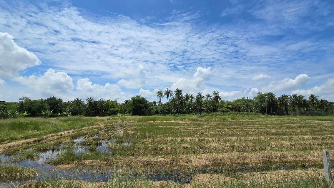 ขายด่วนที่ดิน 600 ตรว ติดถนนสาธารณะ ต.มหาสวัสดิ์ อ.พุทธมณฑล จ.นครปฐม 13