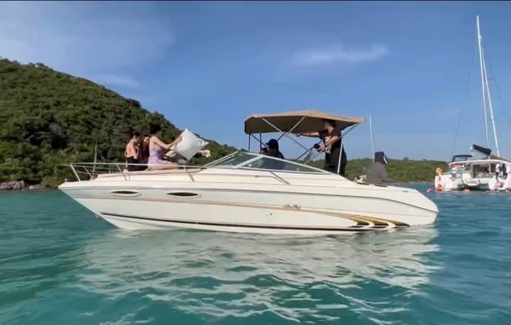 ขายเรือ Sea Ray 240 Signature