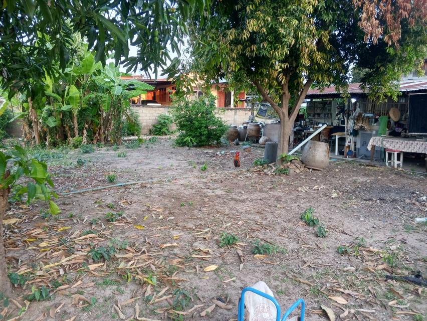 ขายบ้าน+ทีดินและสิ่งปลูกสร้าง 7