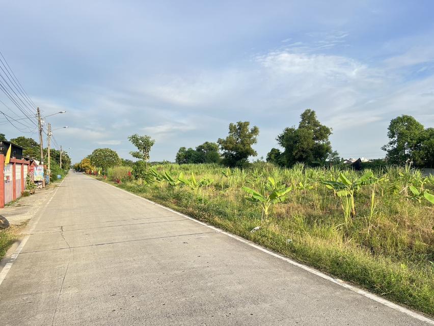 ขายที่ดินเปิดแปลงใหม่ คลองสาม  คลองหลวง ปทุมธานี 100 ตารางวาเพียง  8.5 แสนบาท 11